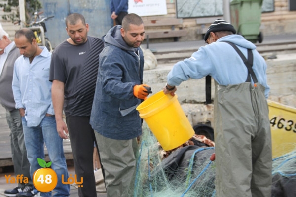 sayyadnewyaffa3 (37).JPG